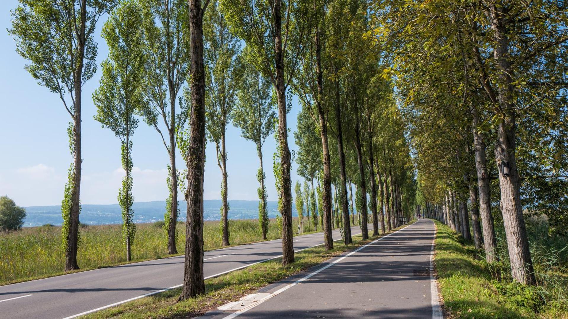 Strandhotel Loechnerhaus Reichenau Eksteriør bilde